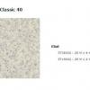 36 Acczent Classic 40