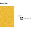 16 Acczent Evolution