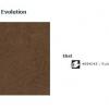 3 Acczent Evolution