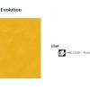 38 Acczent Evolution
