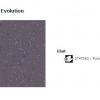 42 Acczent Evolution