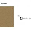 55 Acczent Evolution