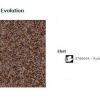 59 Acczent Evolution