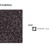 60 Acczent Evolution