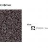 64 Acczent Evolution