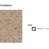 65 Acczent Evolution