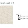 14 Acczent Excellence 70 Opal